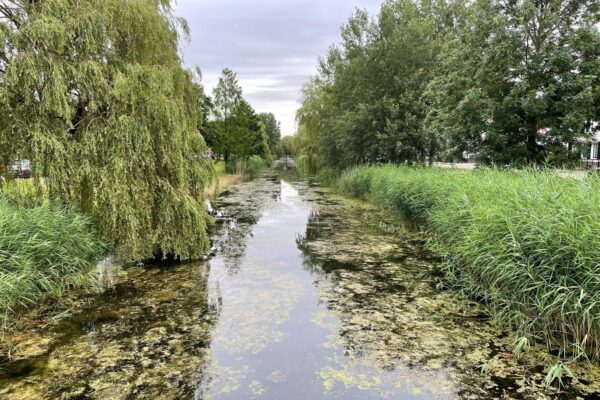 Almere – Jaap ter Haarstraat 20 – Beeld 30