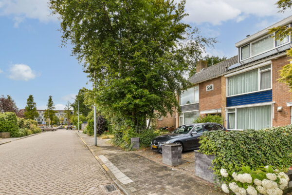 Badhoevedorp – Van der Waalsstraat 35 – Beeld