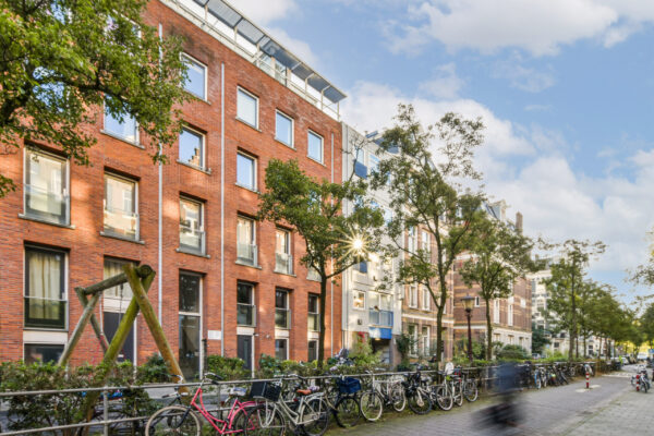 Amsterdam – Hemonystraat 37C – Beeld