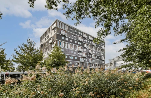 Anna Blamansingel 25