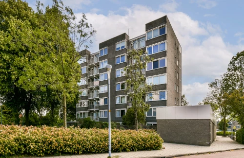 Graan voor Visch 16224
